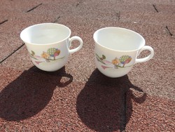 Jlmenau Graf von Henneberg falusi táj jelenetes csésze pár - kávéscsésze pár