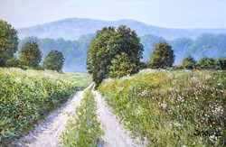 Zoltán Simon - summer landscape - oil on canvas
