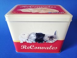 Kitten metal box with music structure, veterinary advertising