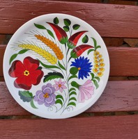 Kalocsai falitányér tányér Gyűjtői darab  nosztalgia falusi dekoráció