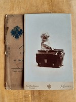 Bécsi, keményhátú fotó 1904 - tacskó orvosi táskában - 11 x 17 cm, A. Huber műterméből 