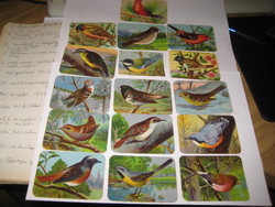 Pictures of an adhesive album 1930 bird breeds, 16 pieces, beautiful colors,