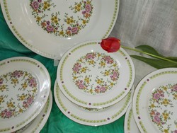 Porcelain cake set....6 plates and 1 large tray.