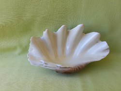 Retró Hollóházi porcelán kagyló tál, tálka