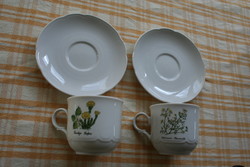 Seltmann weiden bavaria - floral coffee cup series botanical price/cup+base