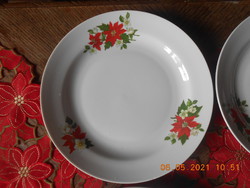 Zsolnay porcelán, Mikulásvirág mintás lapos tányér
