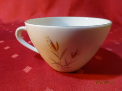 Seltmann weiden bavaria german porcelain teacup. He has!