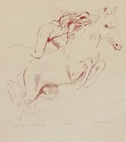 Melocco Miklós ló és lány