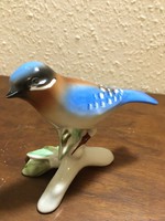 Porcelán madár