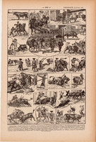 Bikaviadal, nyomat 1923, francia, 19 x 29 cm, lexikon, eredeti, bika, torreádor, pika, spanyol