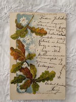 Antik, litho/litográfiás dombornyomott képeslap//üdvözlőlap, virágok, tölgyfa levél 1901