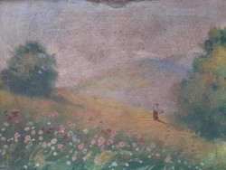 Virágos táj nőalakkal (olajfestmény keretben 27x22 cm) szignózott