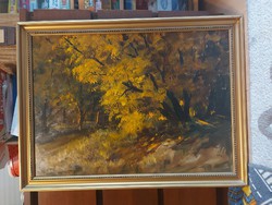 Solymosné Göldner Márta: Öreg erdei fa, festmény, olaj, farost, 50x70+ gyönyörű, eredeti kerete