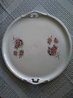 Porcelain tray marked Haas&czjzek in schlaggenwald, hand painted from the 1800s!