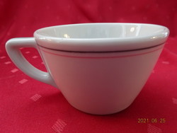 Argentine porcelain, antique South American teacup. Thick-walled with gray and pink stripes. He has!