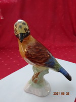 Porcelain figurine from Bodrogkeresztúr, bird with a colored tail. Height 18 cm. He has!