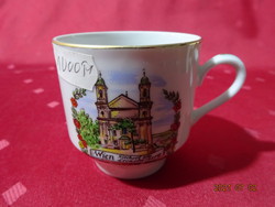 Winterling bavaria german porcelain coffee cup, monument in vienna. He has!