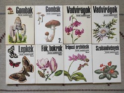 8 db búvár zsebkönyv, gombák, vadvirágok, orchideák, lepkék, fák bokrok, szobanövények