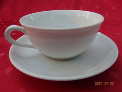 Seltmann weiden bavaria german porcelain teacup with other placemat. He has!