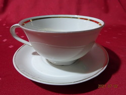 Nora seltmann weiden bavaria german porcelain teacup with other placemat. He has!