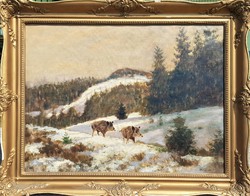 Olgyai ferenc / wild boars in the winter forest