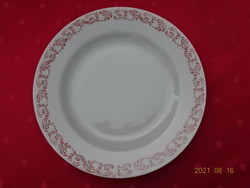 North Korean porcelain, flat plate with brown pattern, diameter 23.5 cm. He has!