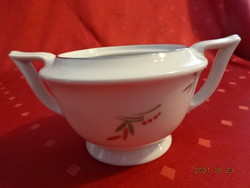 Mz Czechoslovak porcelain, antique sugar bowl, marked: 1880-3. He has!