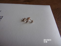 Special small silver earrings