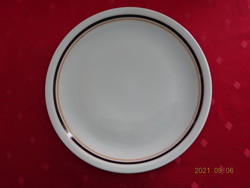 Great Plain porcelain brown striped flat plate, diameter 23.8 cm. He has!
