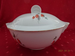 Drasche porcelain soup bowl, hand painted rare pattern, sought after shape, condition new. He has!