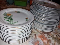 Yellowish small plates, kahla