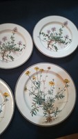 Vileroy & boch botanica plates