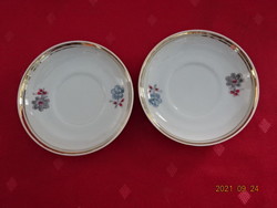 Raven house porcelain coffee cup saucer, diameter 9.5 cm, with gray and blue flowers. He has!