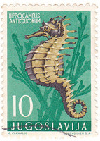 Yugoslavia commemorative stamp 1956