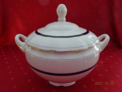 Karlsbag Czechoslovak porcelain soup bowl with antique blue stripes. He has!