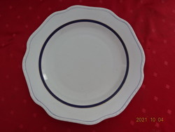 Karlsbag Czechoslovakian porcelain meat platter with antique round blue stripes. He has!