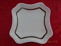 Karlsbag Czechoslovak porcelain garnished bowl with antique blue stripes. He has!