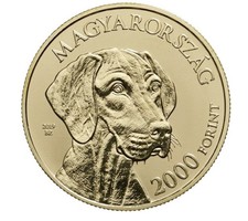 2019. évi - Magyar vizsla 2000 forint PP UNC