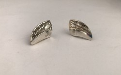 Special shaped silver earrings