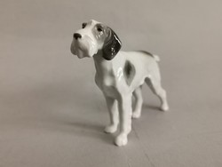 Metzer & Ortloff kutya porcelán