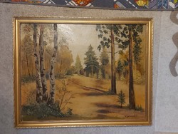 Vizslovszky l. Painting, miskolc, 78x60 + frame, oil, wood fiber / cardboard