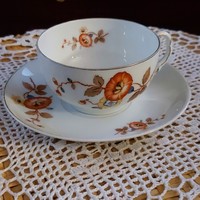 Antique German Thomas bavaria porcelain tea set with unique special pattern, marked, flawless