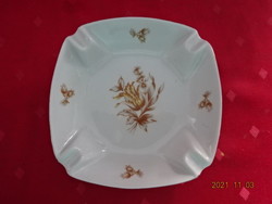 Raven house porcelain ashtray with brown pattern. He has!