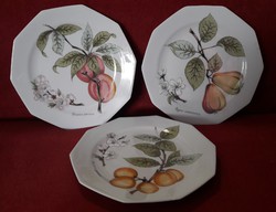 Fruity porcelain plate, wall plate