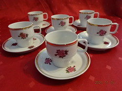 Hollóház porcelain coffee cup + placemat, six in one, rose pattern. He has!