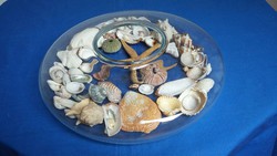 Tengeri csiga, csillag, kagyló gyűjtemény üveg tálban