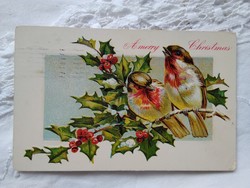 Antik, litho/litográfiás, dombornyomott képeslap, Karácsony, fagyöngy, vörösbegy 1908