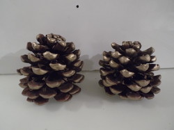 Christmas tree decoration - 2 pcs - usa - 10 cm - 9 cm - treated with wax - cone - rare - perfect
