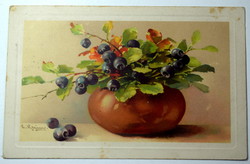 Antik Meissner & Buch festmény képeslap  gyümölcs csendélet