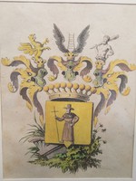 A gróf Pellegrini család címere (színezett acélmetszet)
